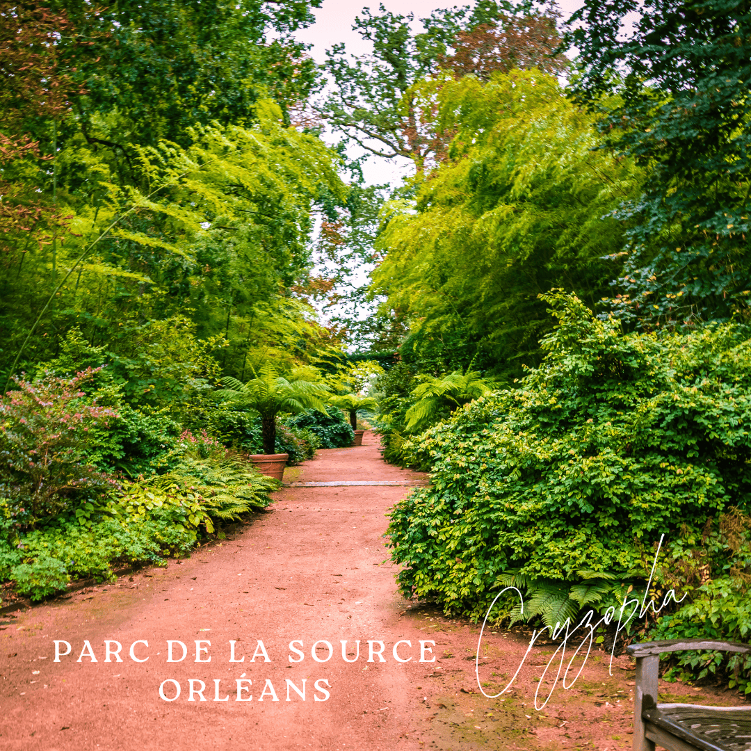 Orange Minimalist Photo Polaroid Hello Autumn Instagram Post (33)