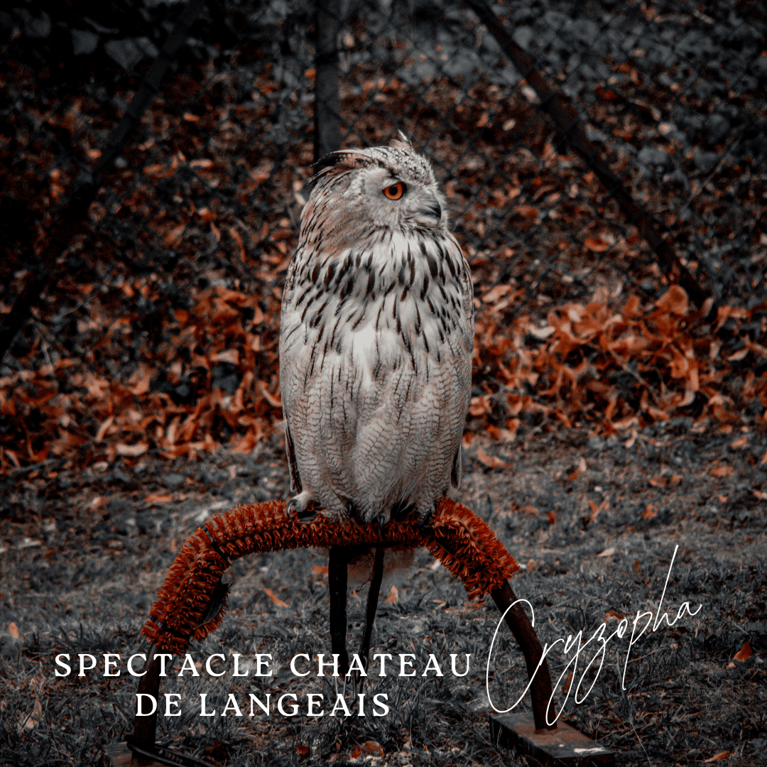 Orange Minimalist Photo Polaroid Hello Autumn Instagram Post (41)