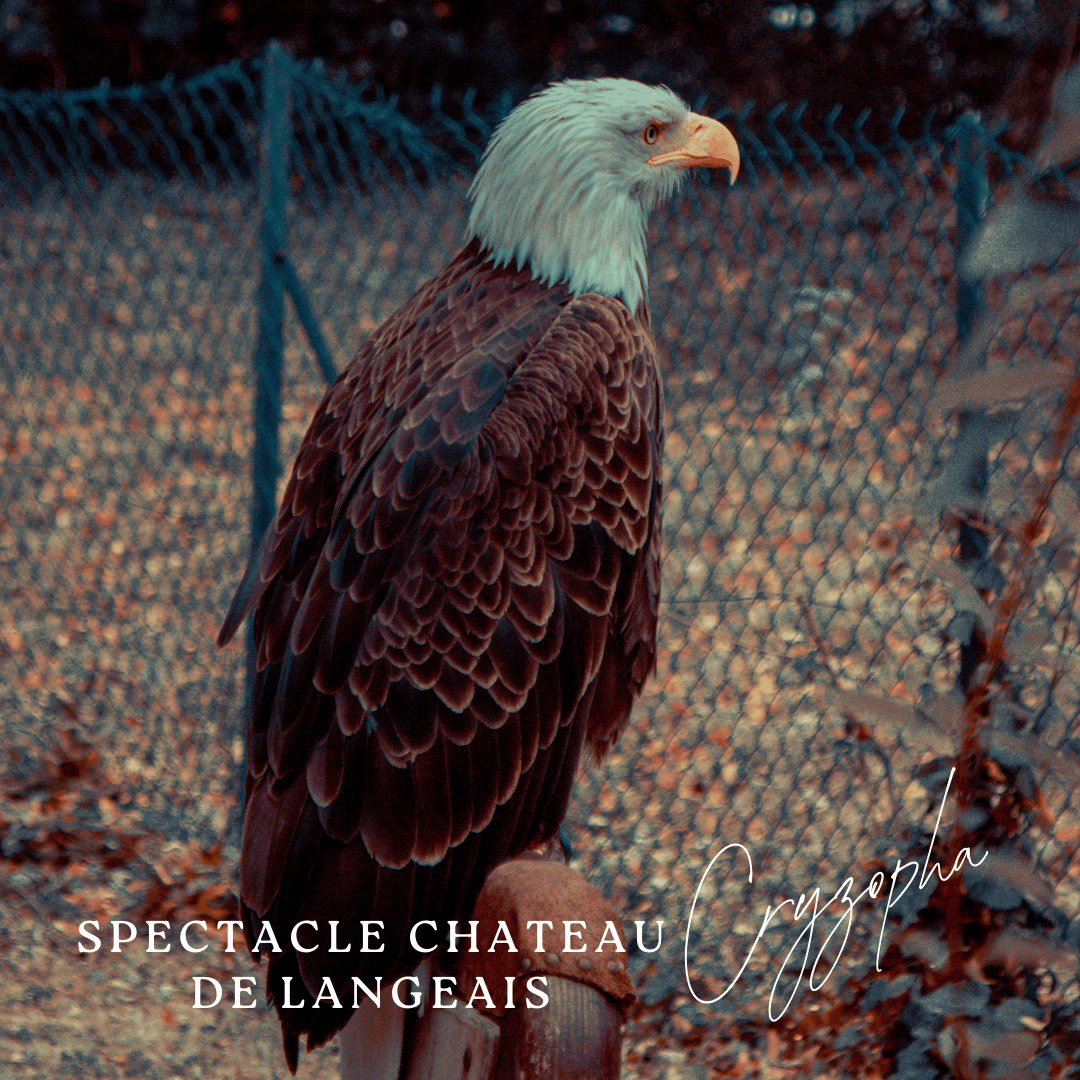 Orange Minimalist Photo Polaroid Hello Autumn Instagram Post (42)