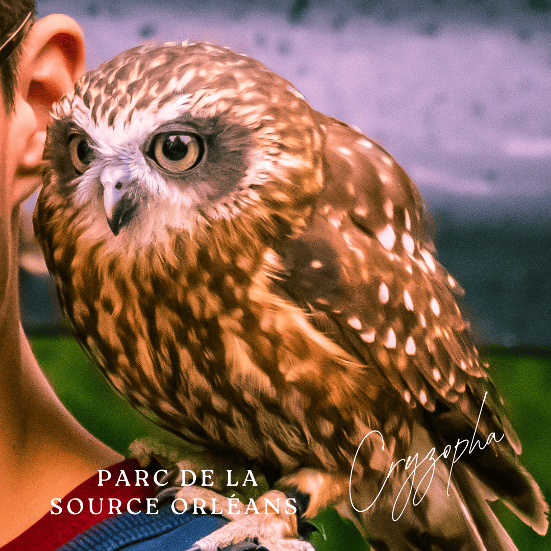 Orange Minimalist Photo Polaroid Hello Autumn Instagram Post (43)