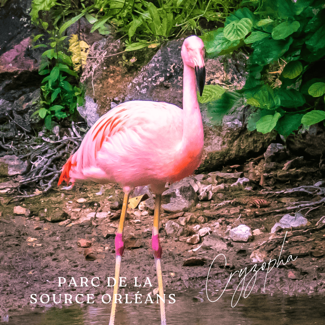 Orange Minimalist Photo Polaroid Hello Autumn Instagram Post (44)